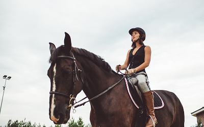 Trail Riding: Best Routes for Beginners